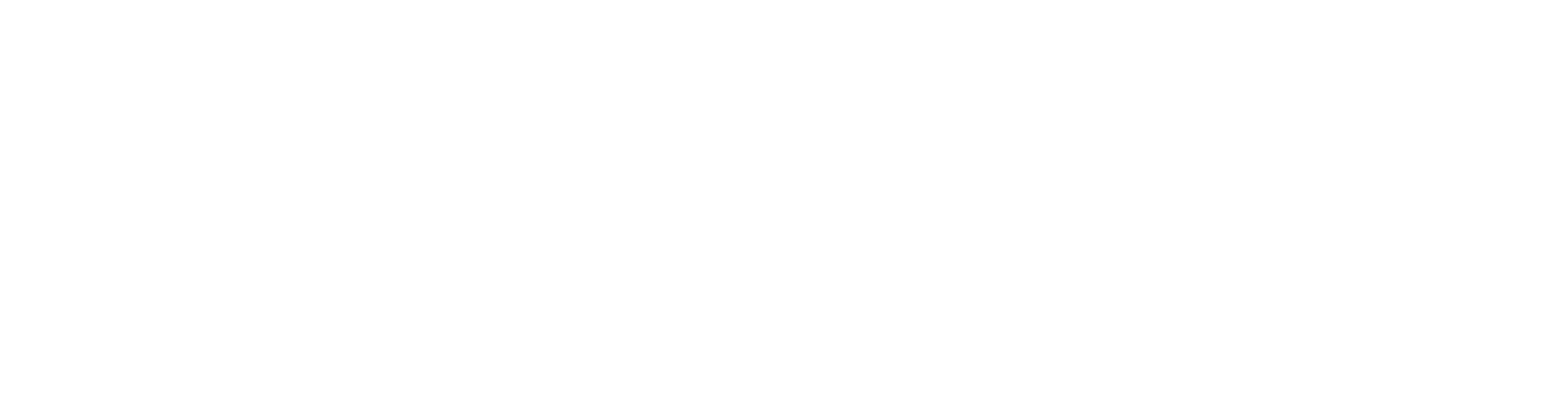 Asmizo Logo